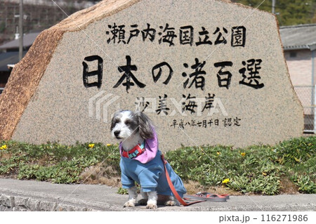 沙美海岸 116271986