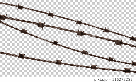 The rusty barbed wire png image 3d rendering. The rusty barbed wire png image 3d rendering. 116272255