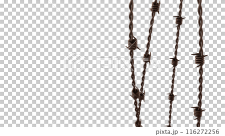 The rusty barbed wire png image 3d rendering. The rusty barbed wire png image 3d rendering. 116272256