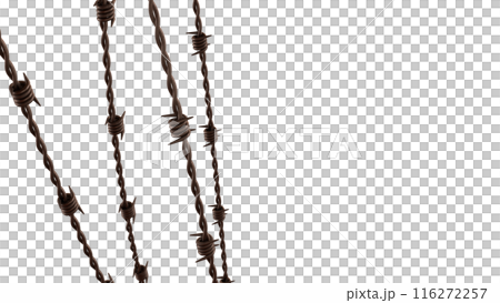 The rusty barbed wire png image 3d rendering. The rusty barbed wire png image 3d rendering. 116272257