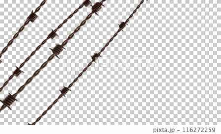 The rusty barbed wire png image 3d rendering. 116272259