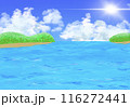 海 116272441