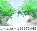 風景 116272443