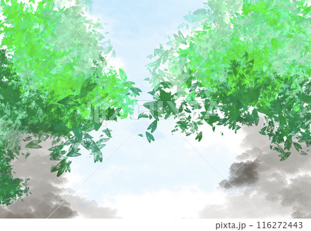 風景 116272443