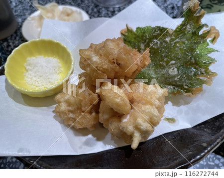 真鱈の白子の天ぷら 北海道の冬の味覚 真鱈の白子の天ぷら 北海道の冬の味覚 116272744