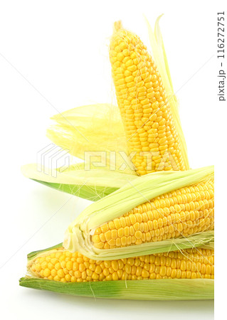 とうもろこし(おひさまコーン) とうもろこし(おひさまコーン) 116272751