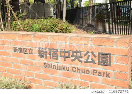 新宿中央公園　 116272771