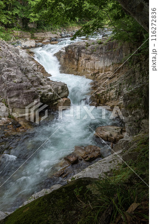 新緑に映える南会津の鱒止まりの滝 116272836