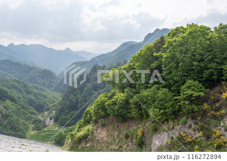 南相木ダムより望む山の景色 南相木ダムより望む山の景色 116272894