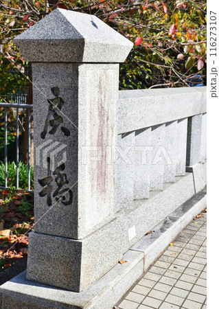 京都　紅葉の一条戻橋（京都市上京区） 116273107