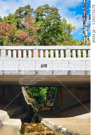 京都　紅葉の一条戻橋（京都市上京区） 116273278