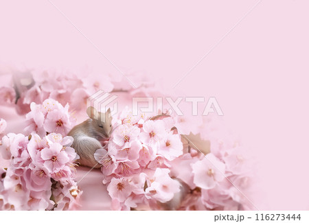 CG素材　子ネズミと桜のイメージ素材 116273444