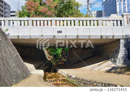 京都 紅葉の一条戻橋(京都市上京区) 京都 紅葉の一条戻橋(京都市上京区) 116273453