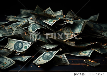 dollar bills falling with darkness background, money rain concept 116273473