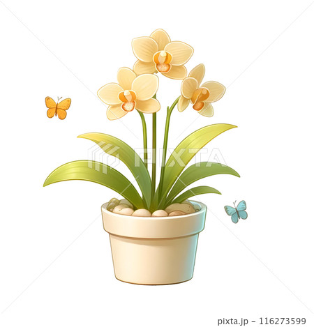 3d orchid in the pot  116273599