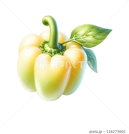 3d sweet pepper  116273601