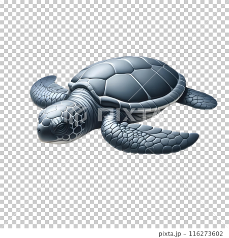 turtle on white background 116273602