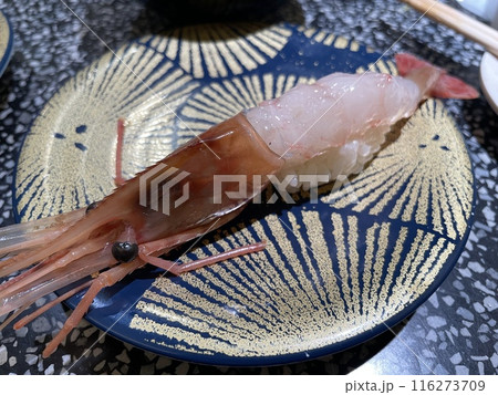 ボタンエビの握り寿司 甘エビより甘い高級海老 ボタンエビの握り寿司 甘エビより甘い高級海老 116273709