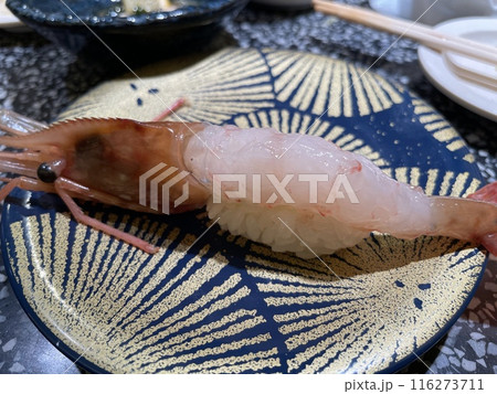 ボタンエビの握り寿司 甘エビより甘い高級海老 ボタンエビの握り寿司 甘エビより甘い高級海老 116273711