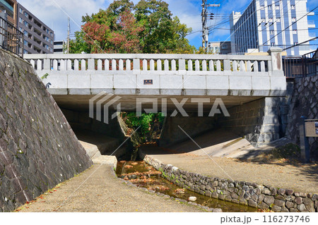 京都　紅葉の一条戻橋（京都市上京区） 116273746