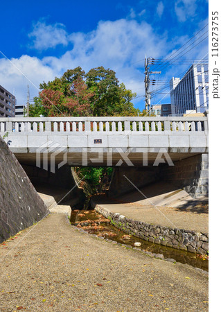 京都 紅葉の一条戻橋(京都市上京区) 京都 紅葉の一条戻橋(京都市上京区) 116273755