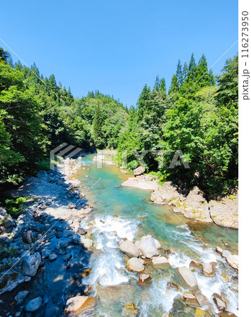 中津川渓谷（秋山郷） 116273950