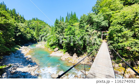 中津川渓谷（秋山郷）：見倉橋  116274092