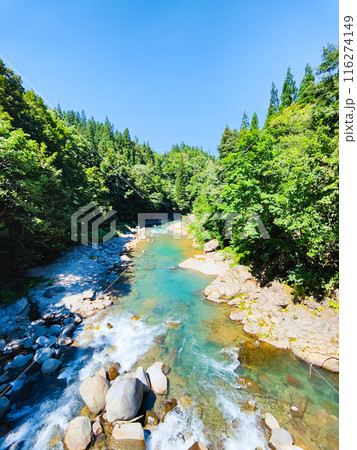 中津川渓谷(秋山郷) 中津川渓谷(秋山郷) 116274149