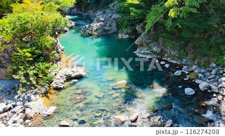 中津川渓谷(秋山郷) 中津川渓谷(秋山郷) 116274208