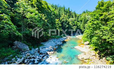 中津川渓谷(秋山郷) 中津川渓谷(秋山郷) 116274219