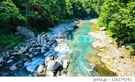 中津川渓谷（秋山郷） 116274242