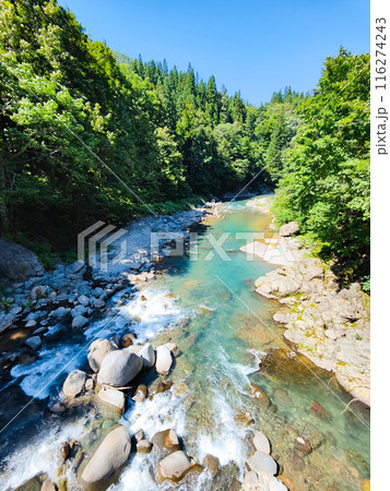 中津川渓谷（秋山郷） 116274243