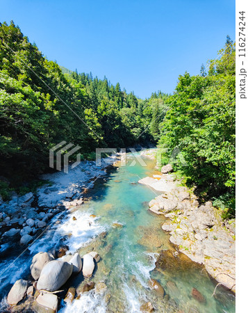 中津川渓谷（秋山郷） 116274244