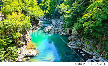 中津川渓谷（秋山郷） 116274251