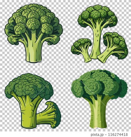 Broccoli illustration set 116274418