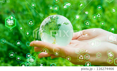 地球環境イメージ エコロジー サステナブル SDGs 地球環境イメージ エコロジー サステナブル SDGs 116274466