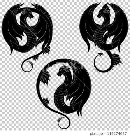 European medieval dragons European medieval dragons 116274687