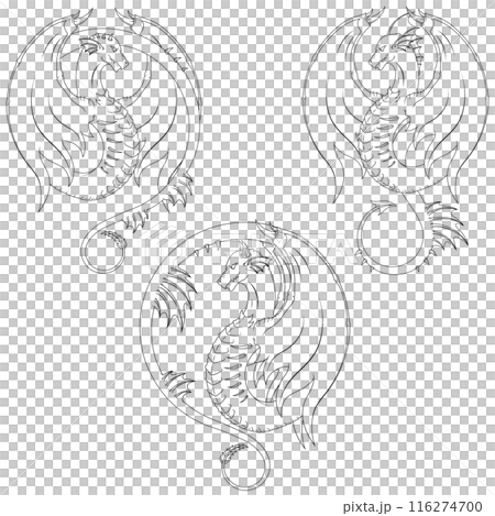 European medieval dragons 116274700