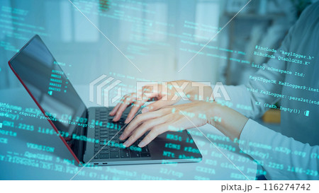 パソコンを使う女性とデータコード 116274742