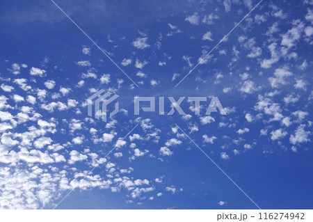 青空に浮かぶうろこ雲 青空に浮かぶうろこ雲 116274942