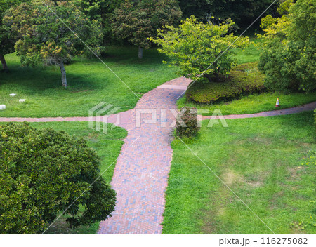 三崎公園 三崎公園 116275082