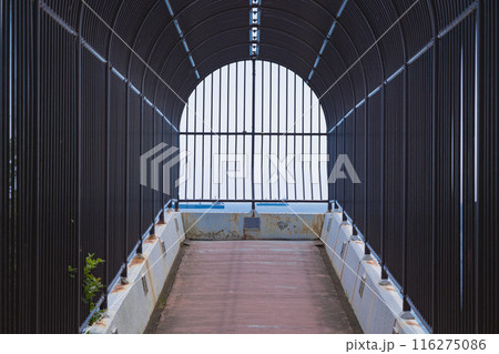 三崎公園 三崎公園 116275086