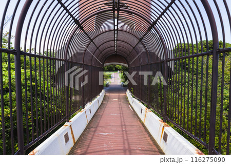 三崎公園 三崎公園 116275090