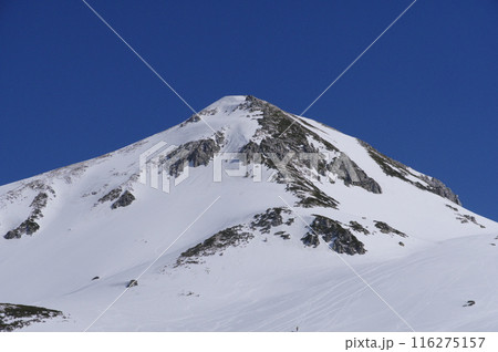 5月上旬の立山黒部アルペンルート　立山室堂平から望む浄土山 116275157