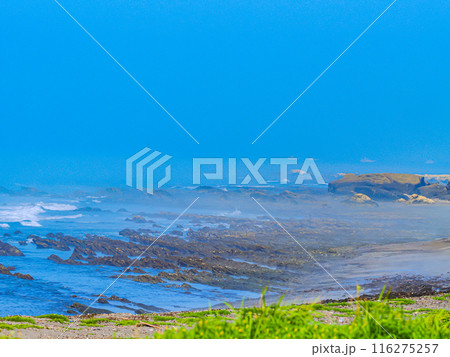 海岸沿いから眺める南房総の海岸 116275257