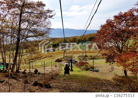 富士見高原リゾート展望リフトから花の里を見晴らした風景　長野県諏訪郡富士見町 116275313