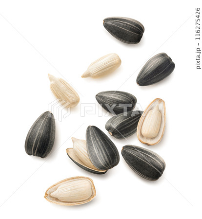 Flying sunflower seeds isolated on white background. Set for cereal and snacks 116275426