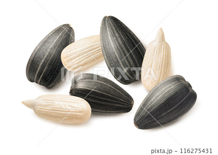 Sun flower seeds laid in circle isolated on white background. Top view. 116275431