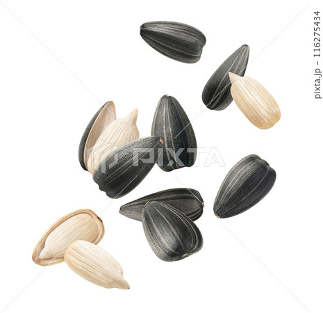 Flying sunflower seeds isolated on white background. Selection for cereal and snacks 116275434