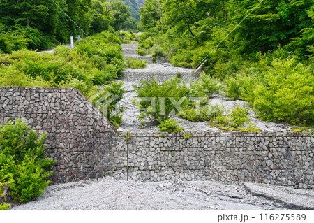 大山三ノ沢砂防ダム 116275589